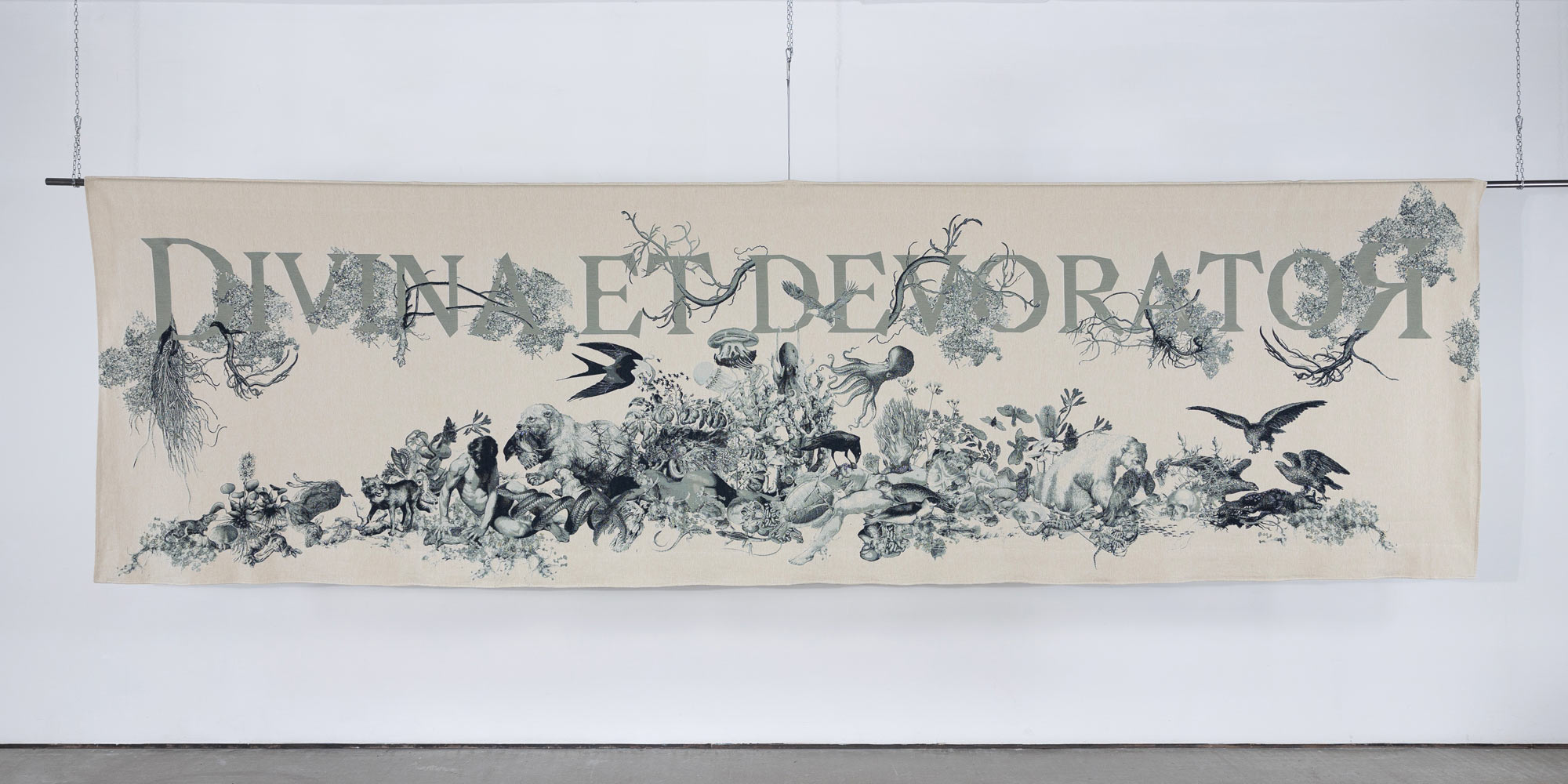 AE Gallery Image Slide