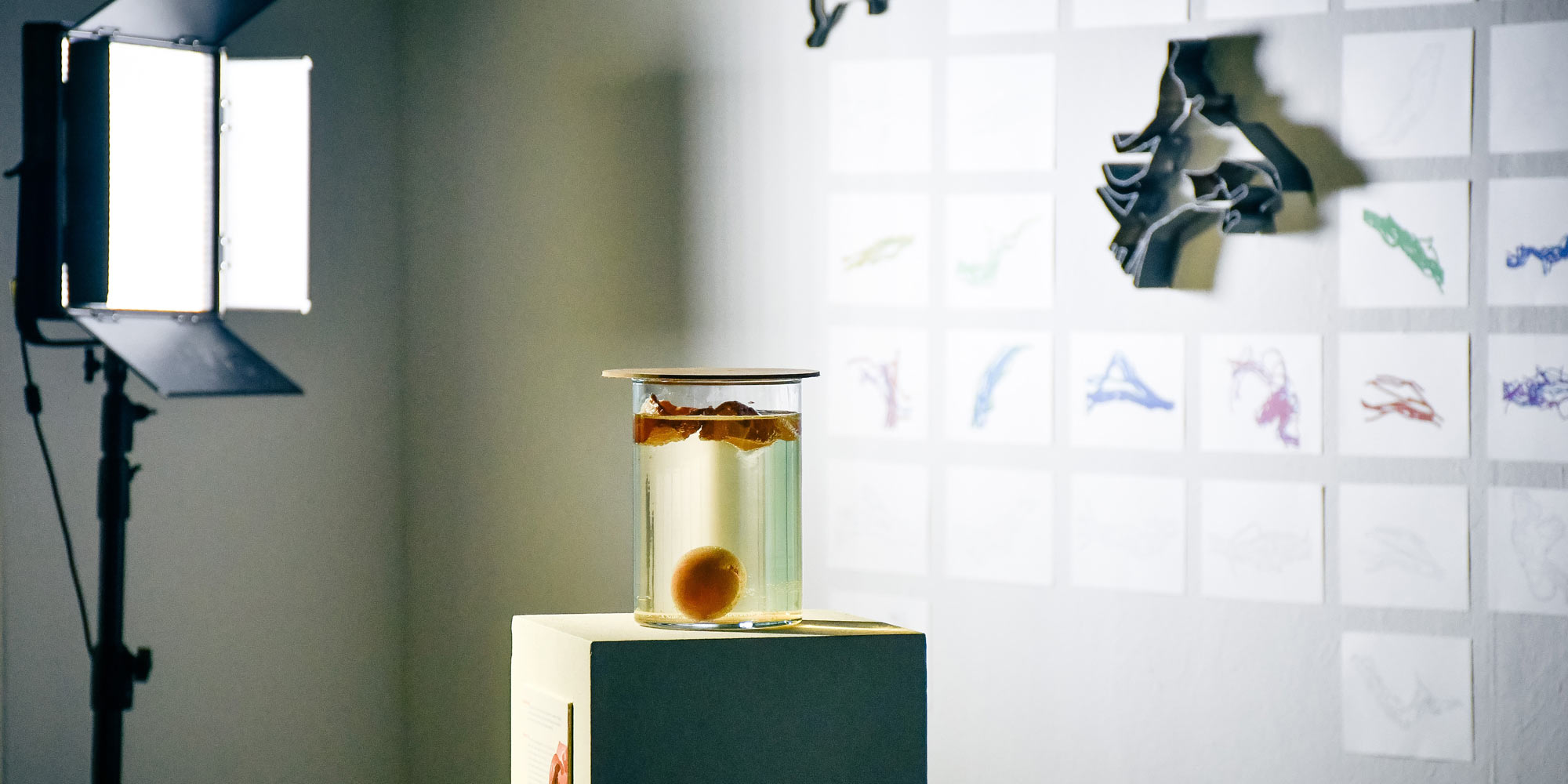 AE Gallery Image Slide