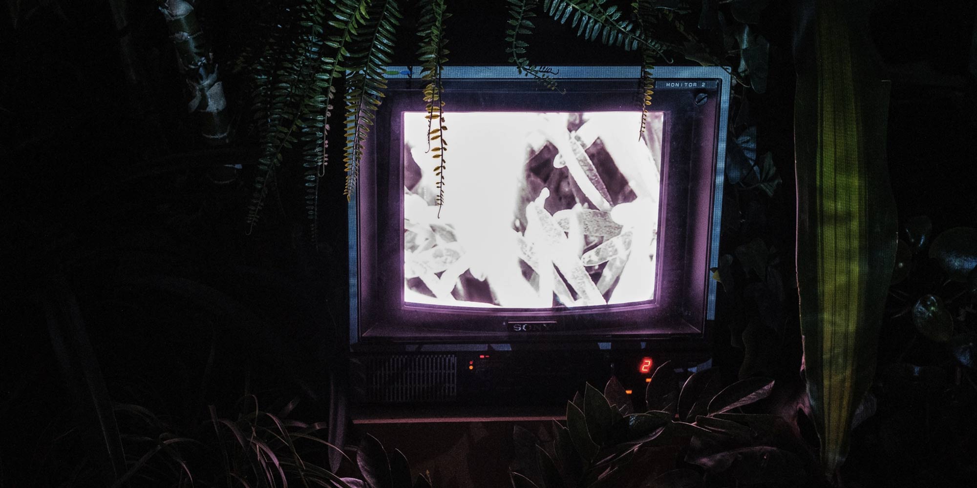 AE Gallery Image Slide