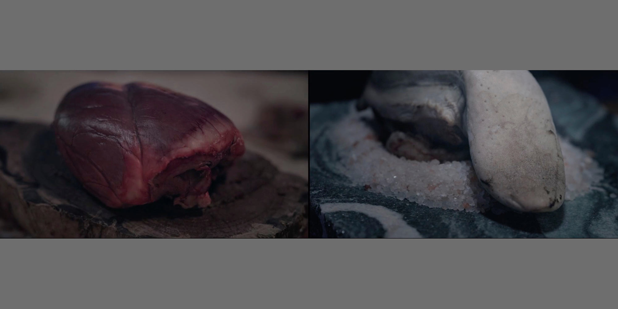AE Gallery Image Slide
