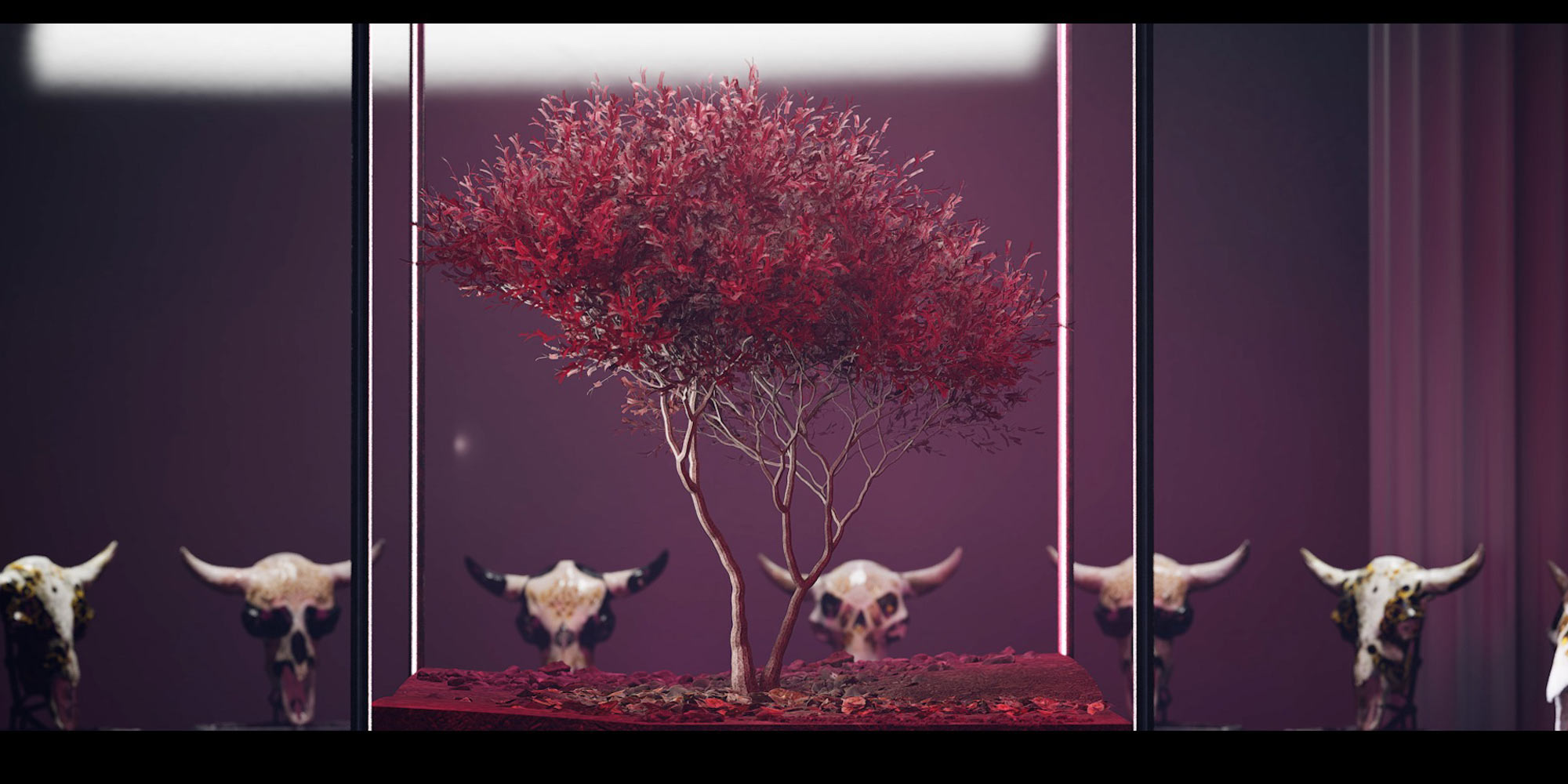 AE Gallery Image Slide