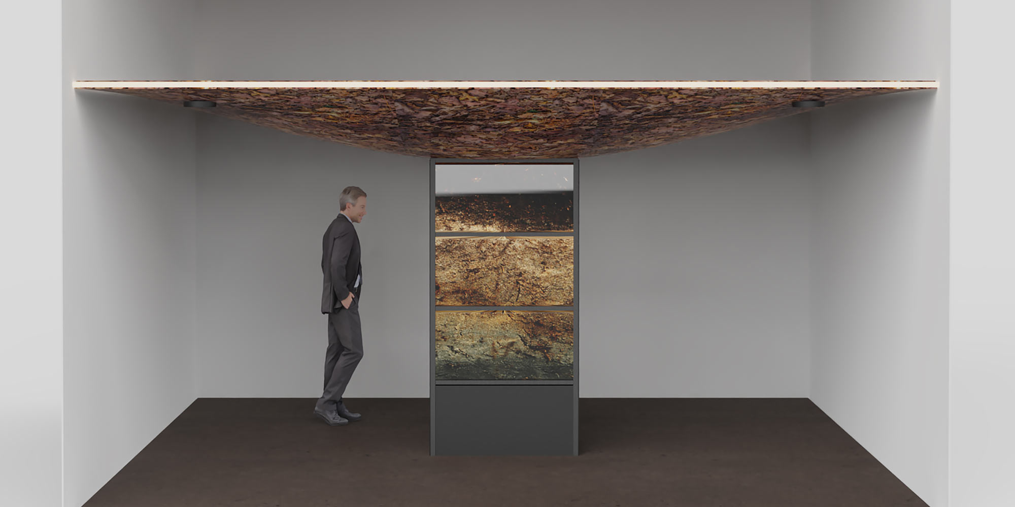AE Gallery Image Slide