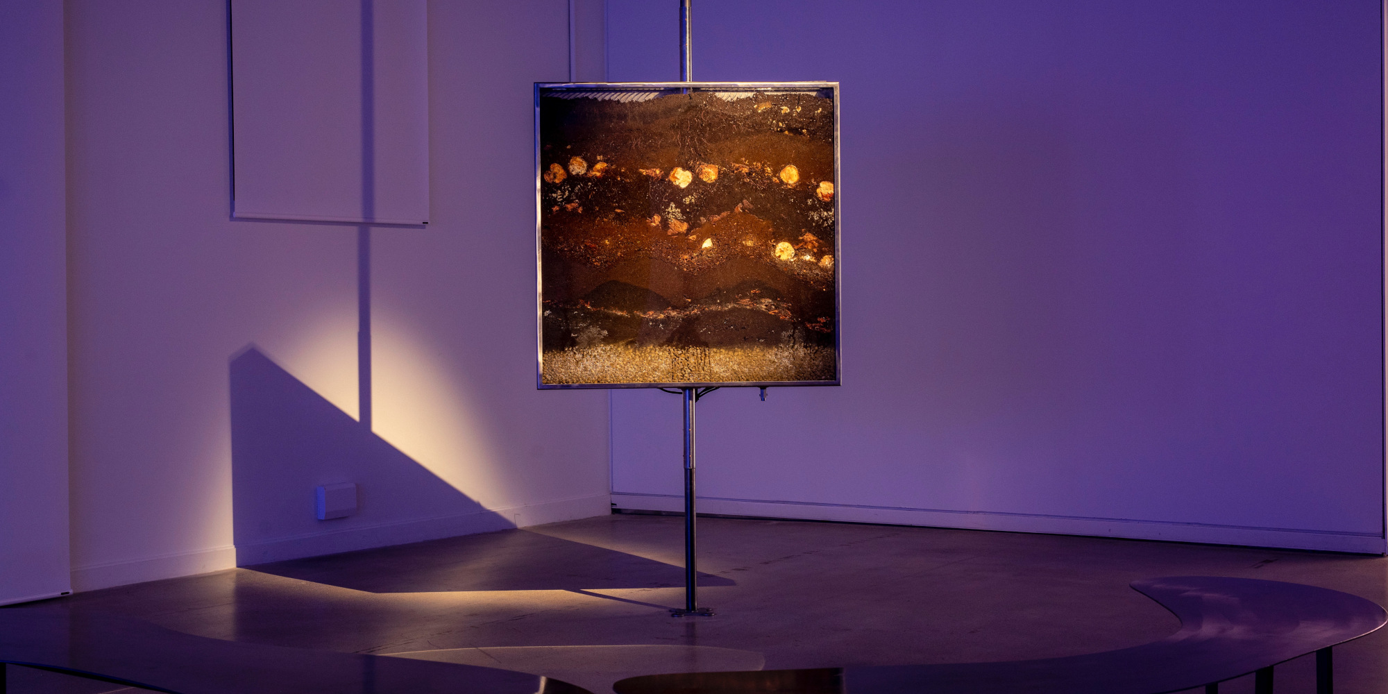 AE Gallery Image Slide