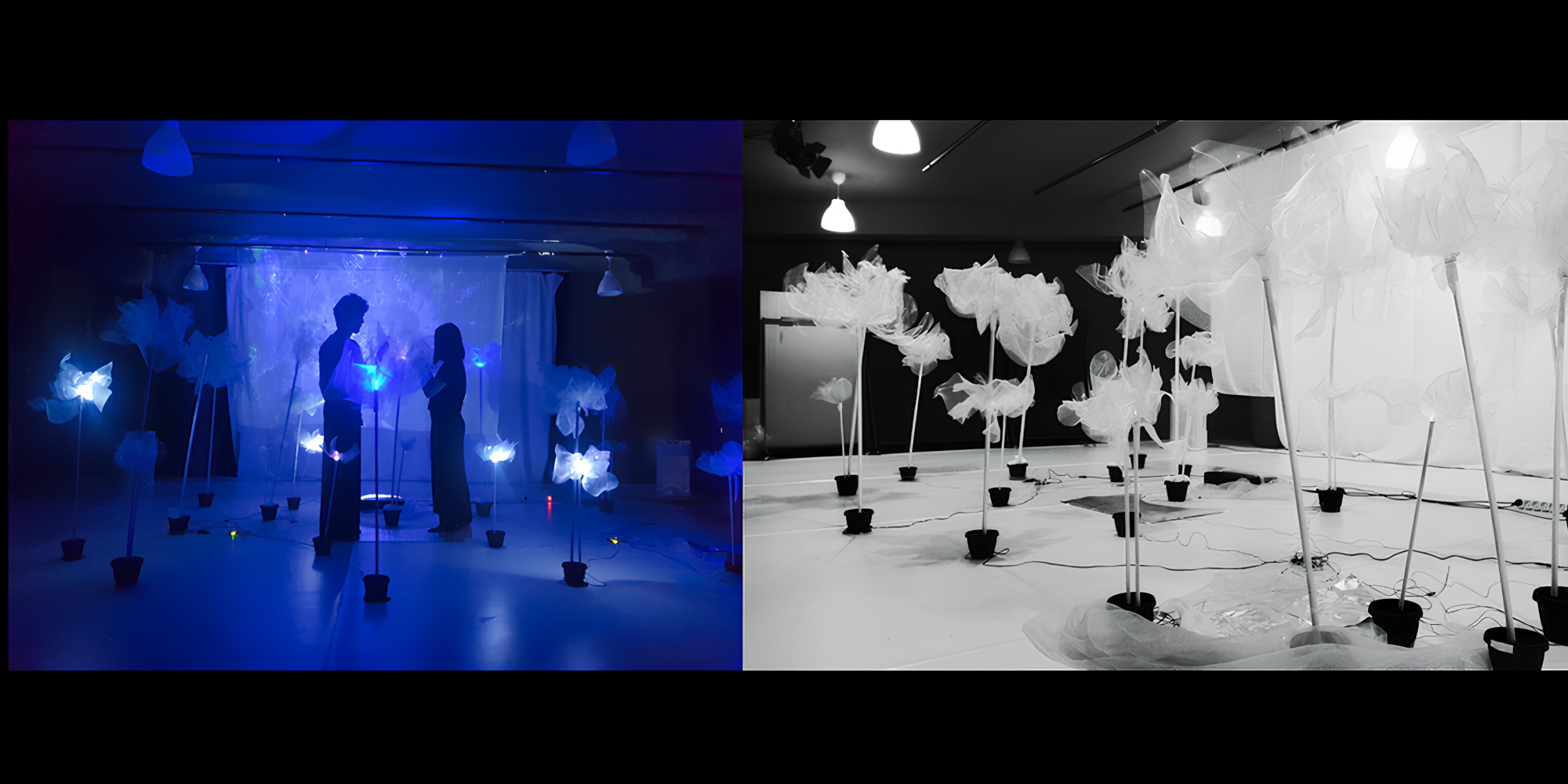 AE Gallery Image Slide