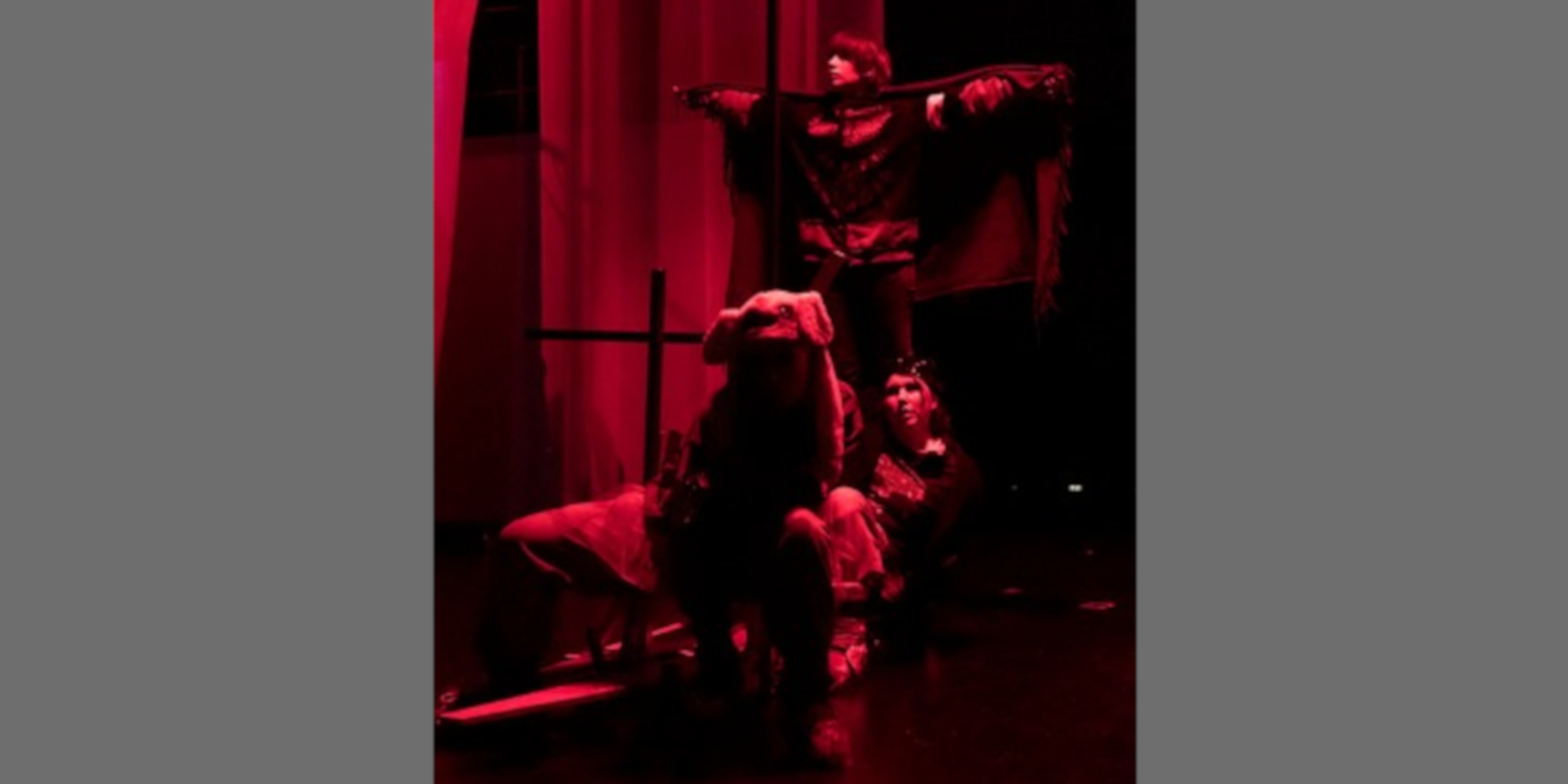 AE Gallery Image Slide