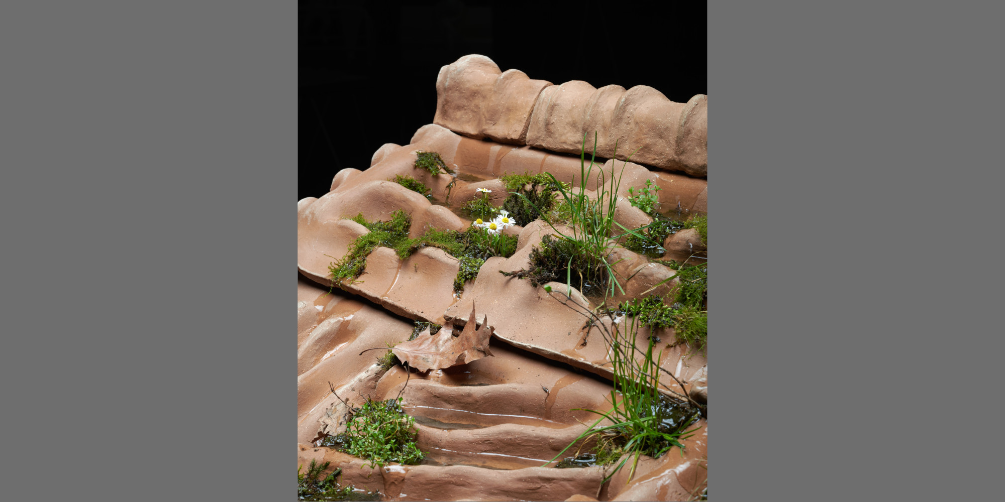 AE Gallery Image Slide