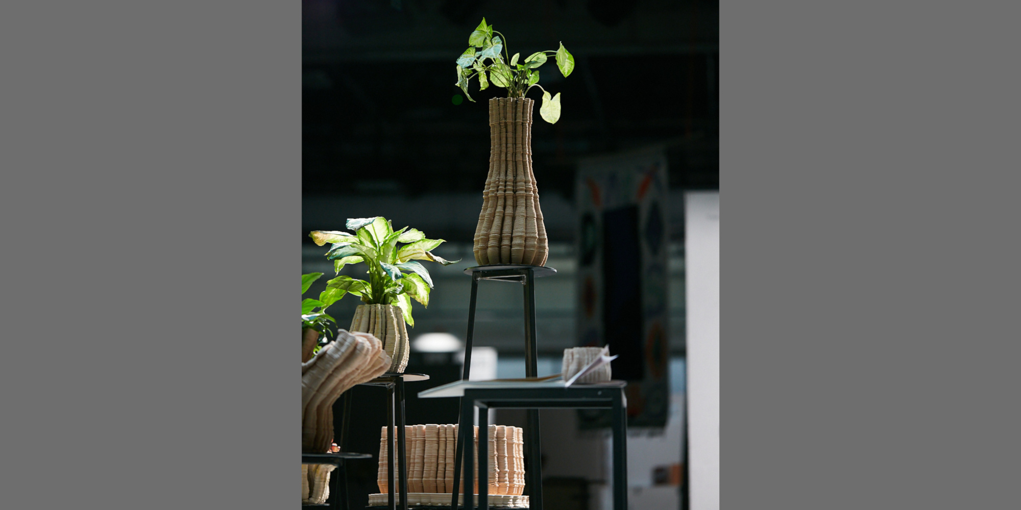 AE Gallery Image Slide