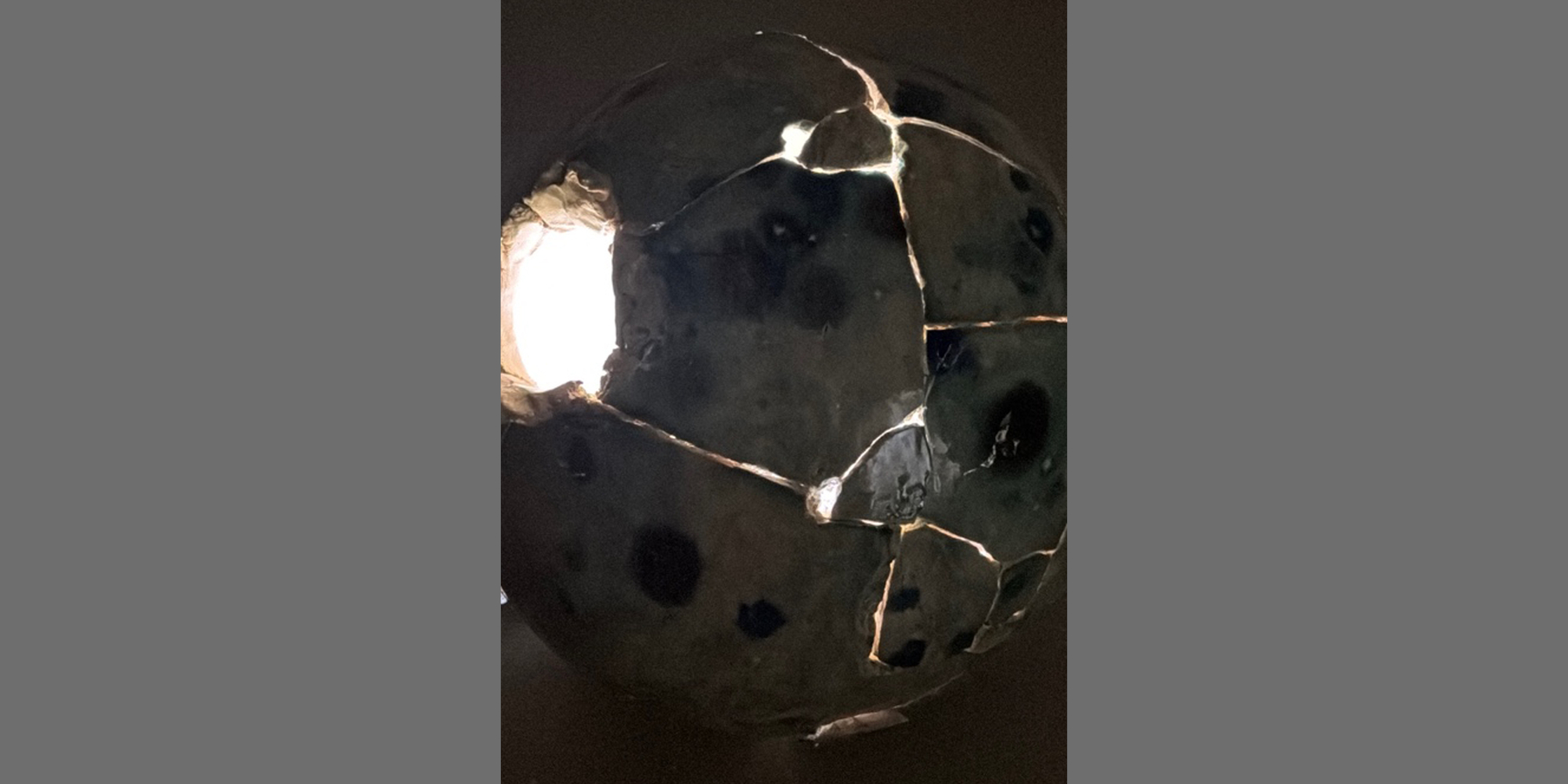 AE Gallery Image Slide