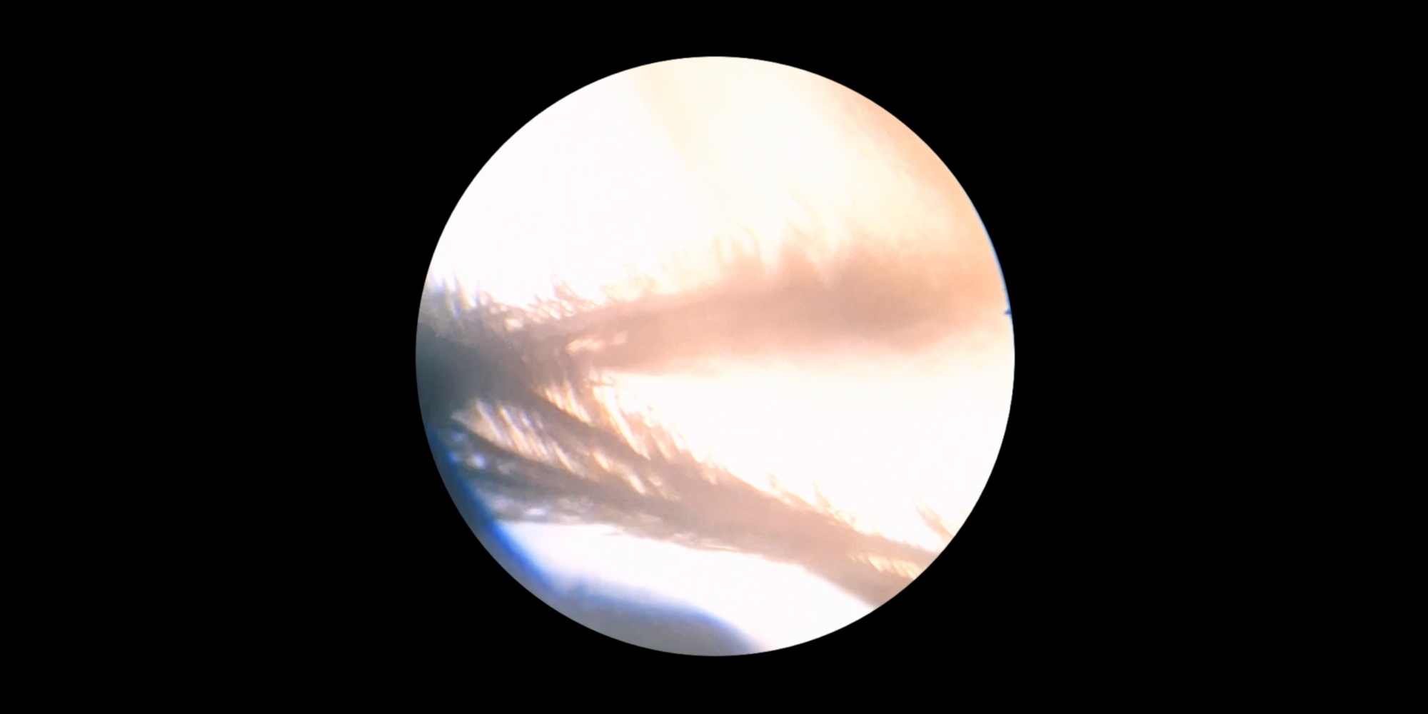 AE Gallery Image Slide