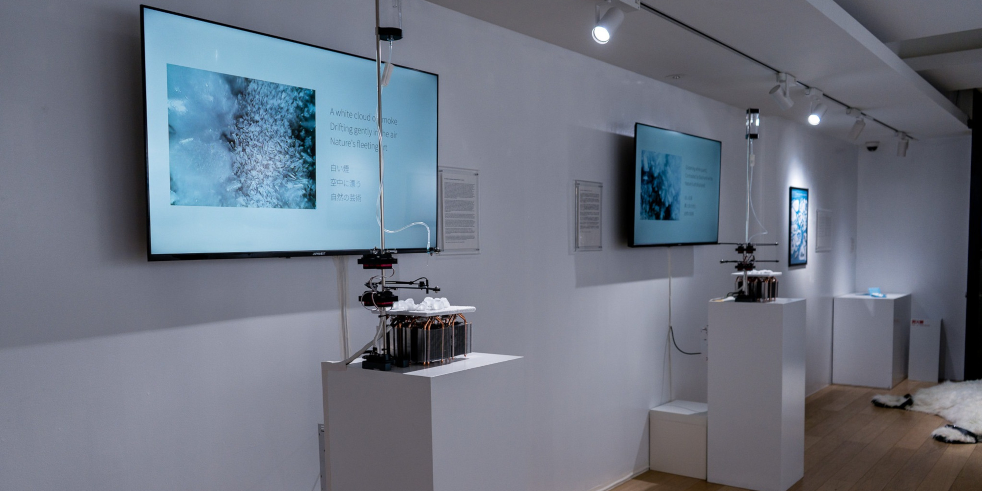 AE Gallery Image Slide