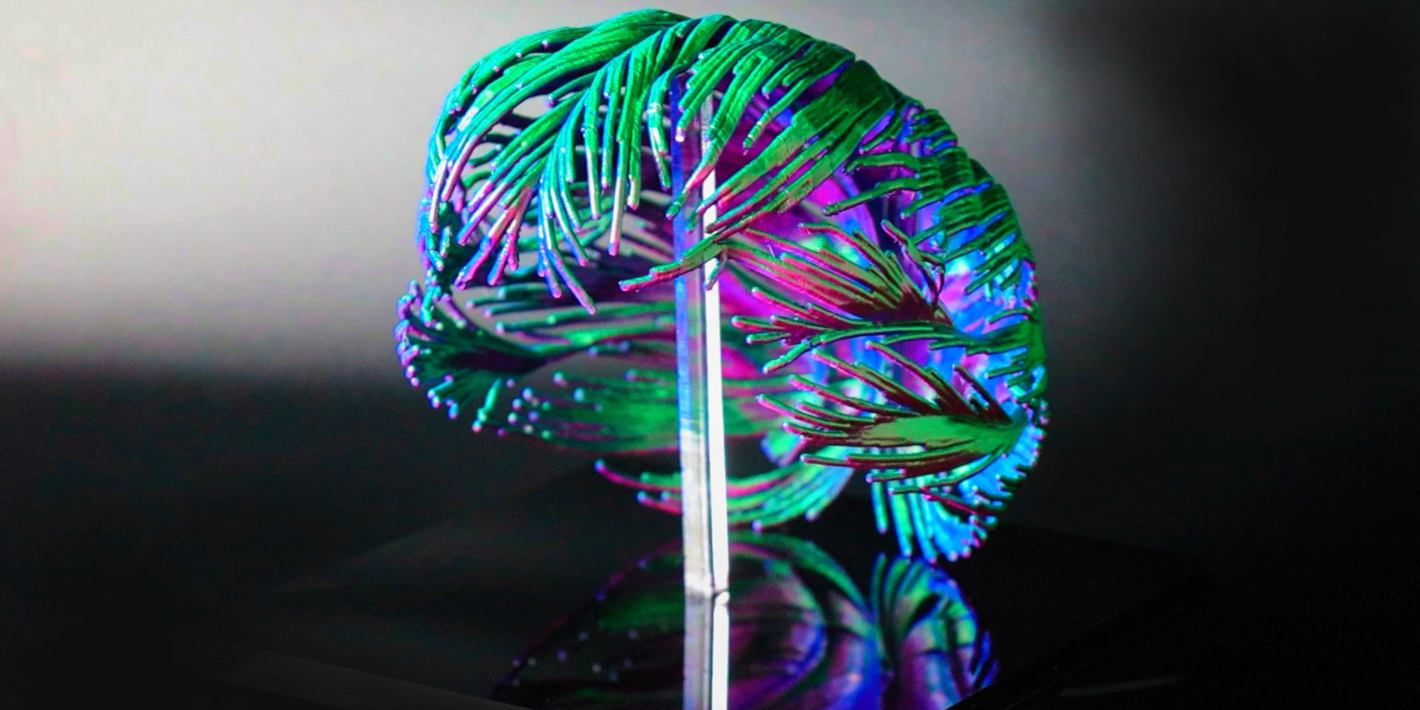 AE Gallery Image Slide