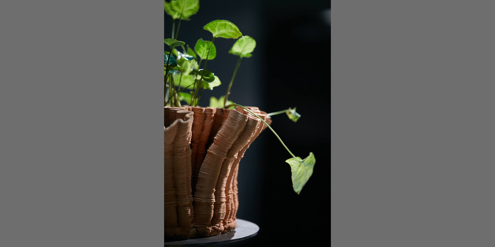AE Gallery Image Slide