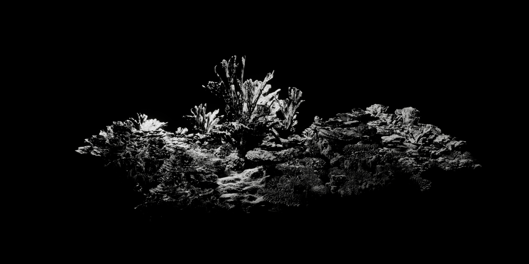 AE Gallery Image Slide