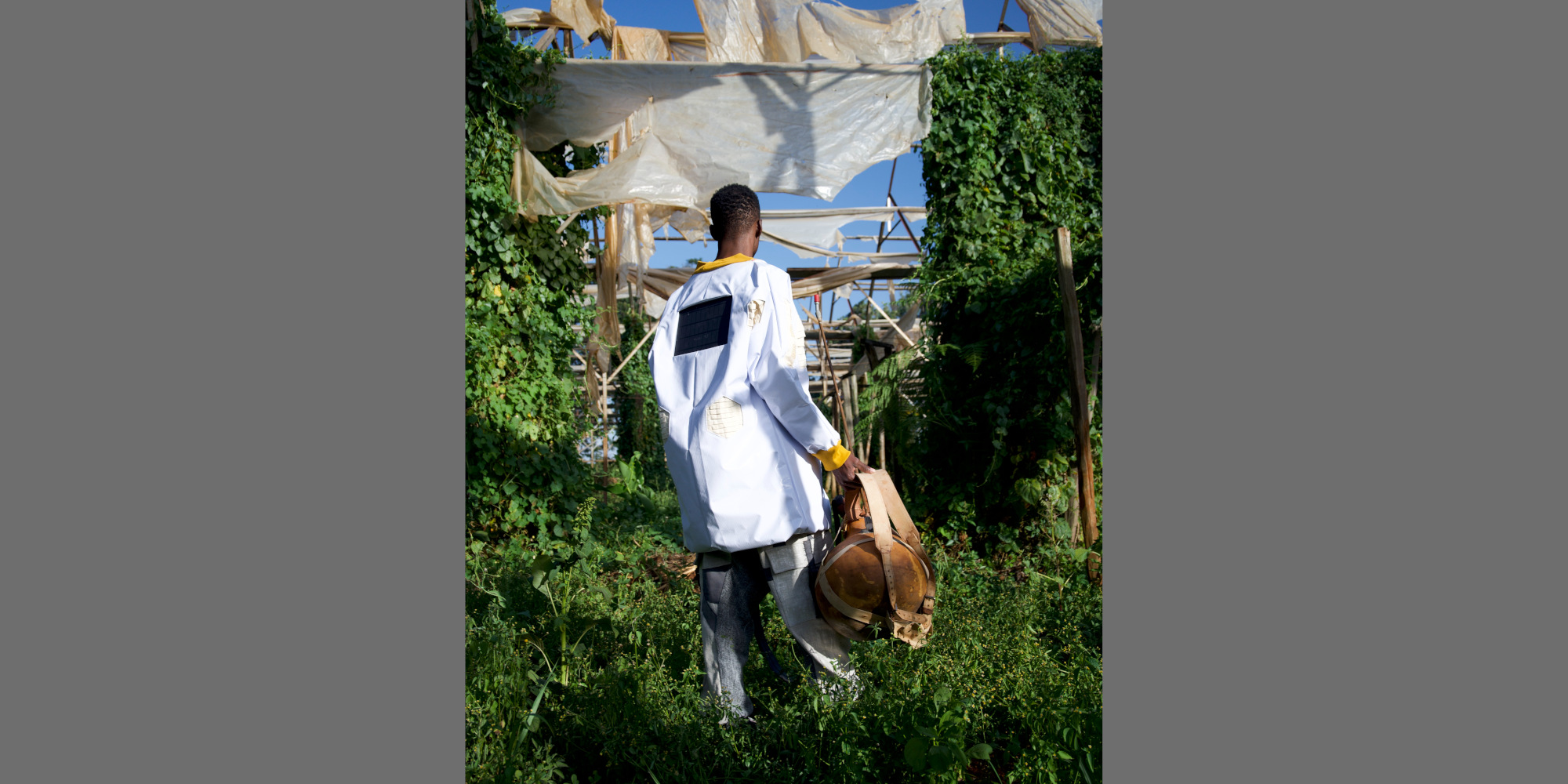 AE Gallery Image Slide