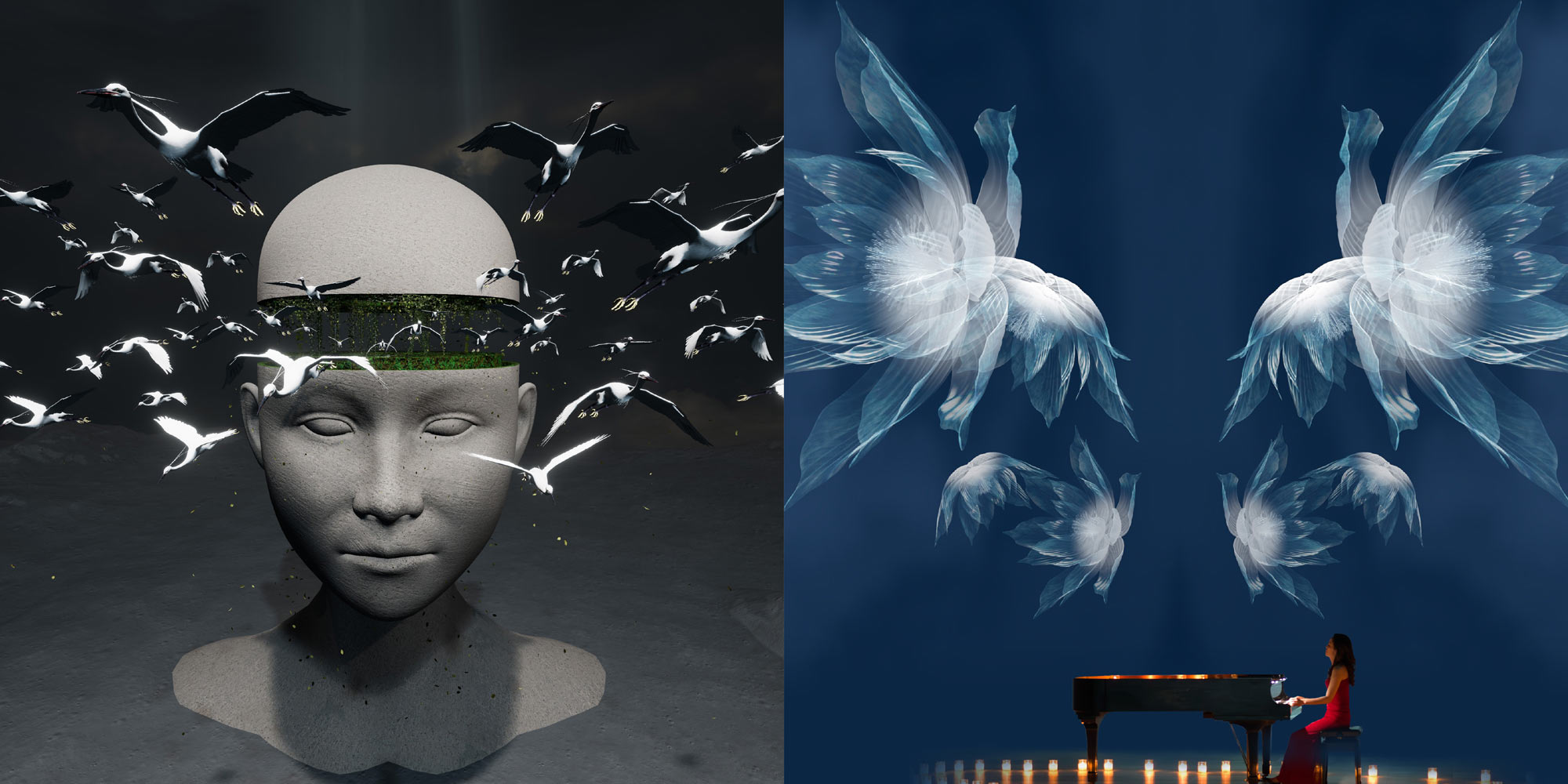AE Gallery Image Slide