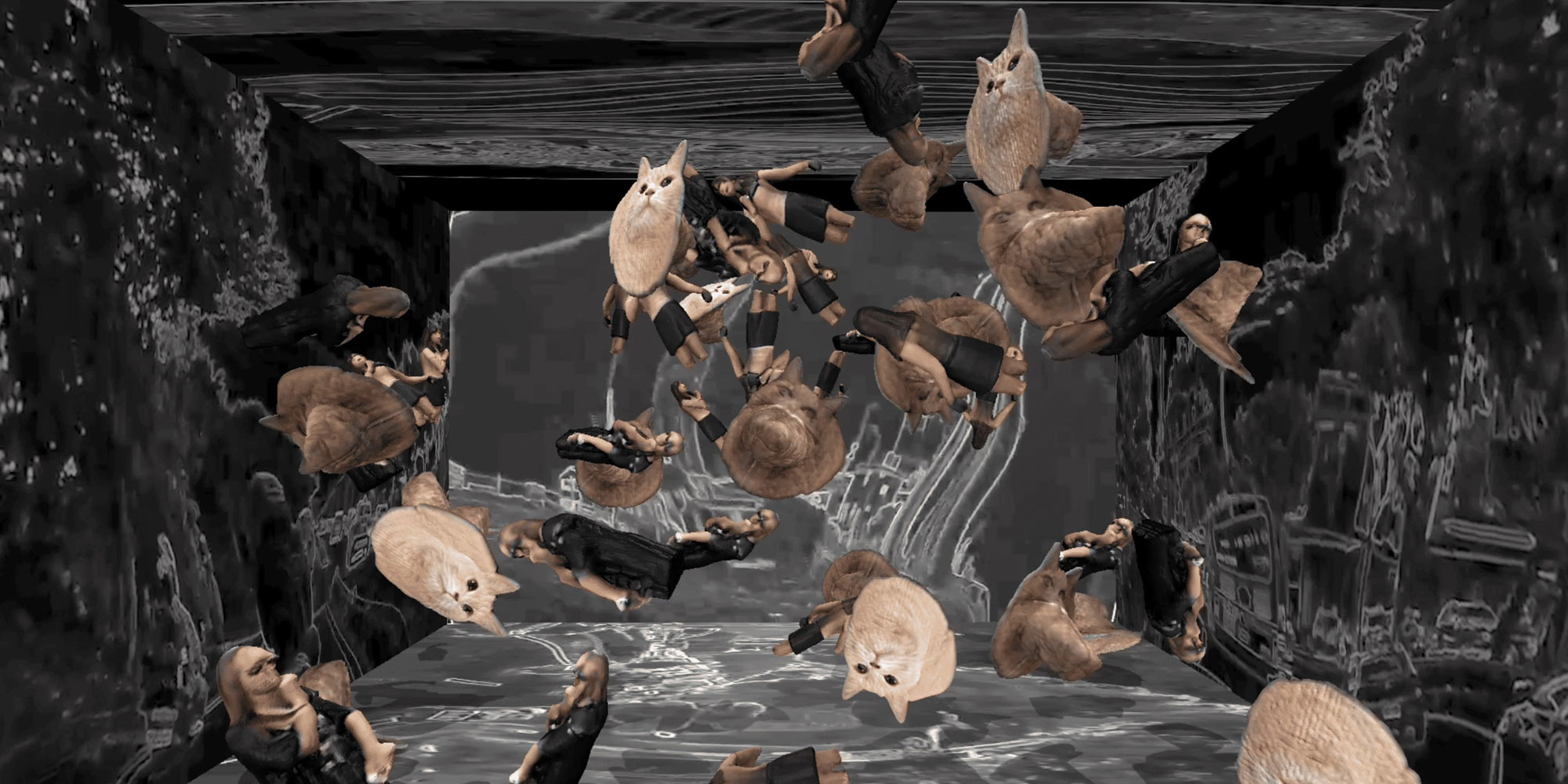 AE Gallery Image Slide
