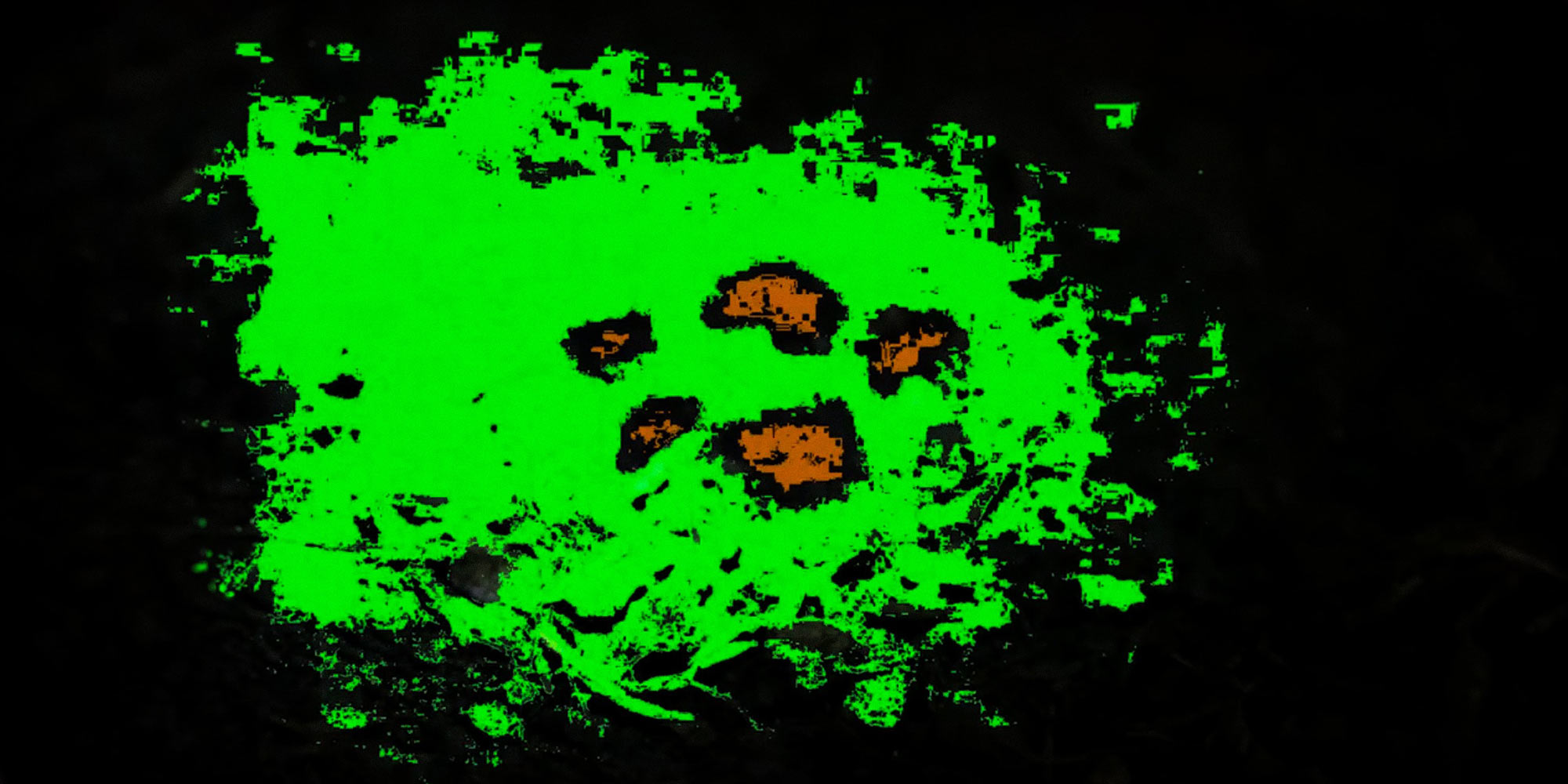 AE Gallery Image Slide