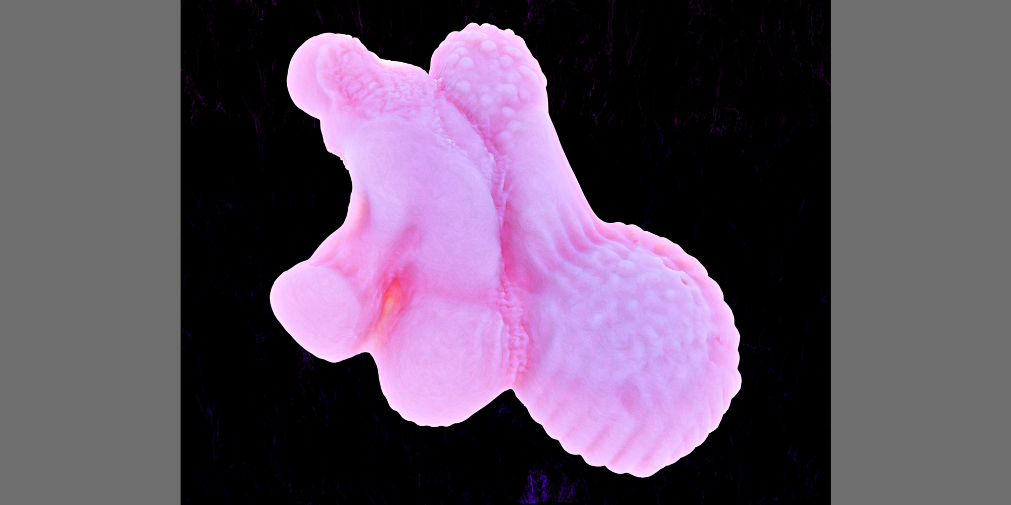 AE Gallery Image Slide