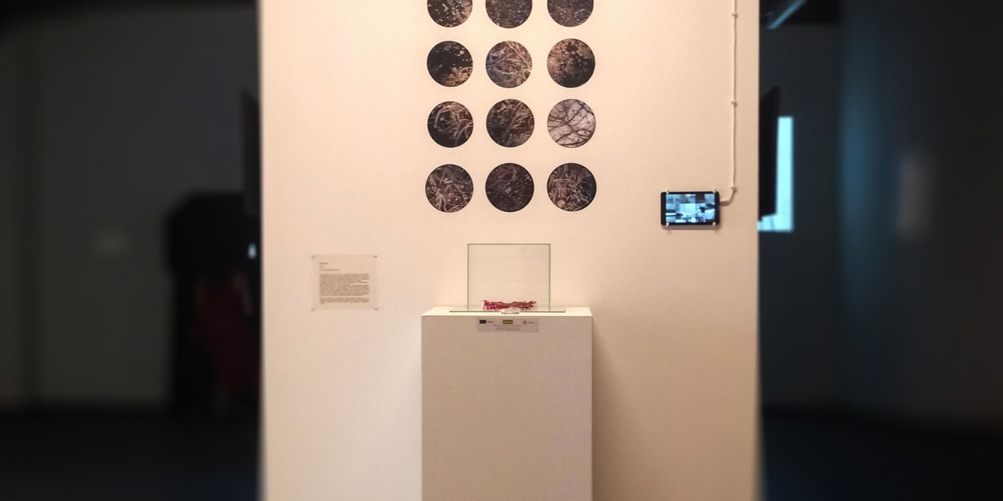 AE Gallery Image Slide