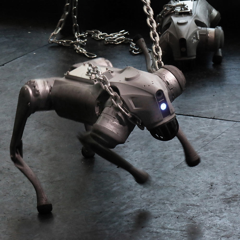 Dynamics of a Dog on a Leash