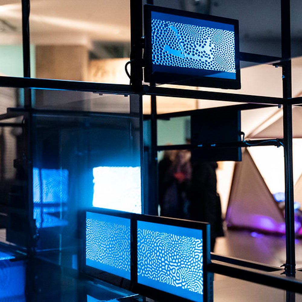 Artists’ Drinks hosted by Pro Helvetia Swiss Arts Council