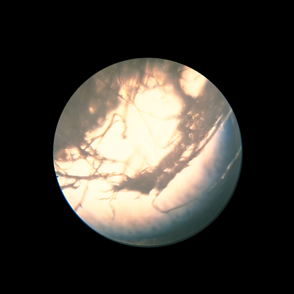 Time-based and Interactive Media Arts