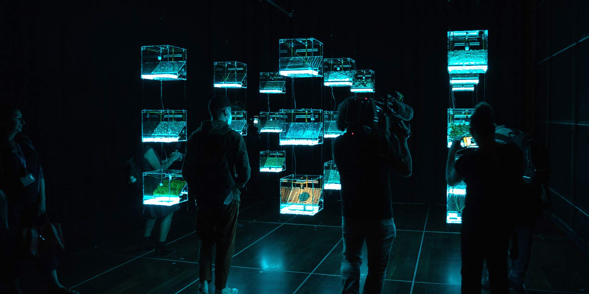 CyberArts Exhibition at the Ars Electronica Festival