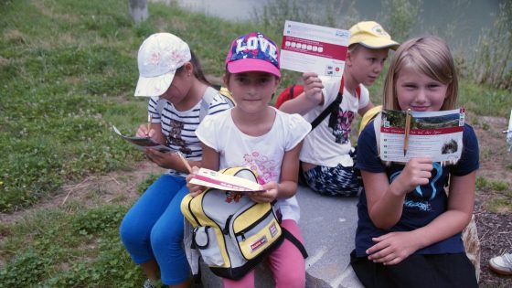 On A Puzzle Tour Along The Danube Bike Path