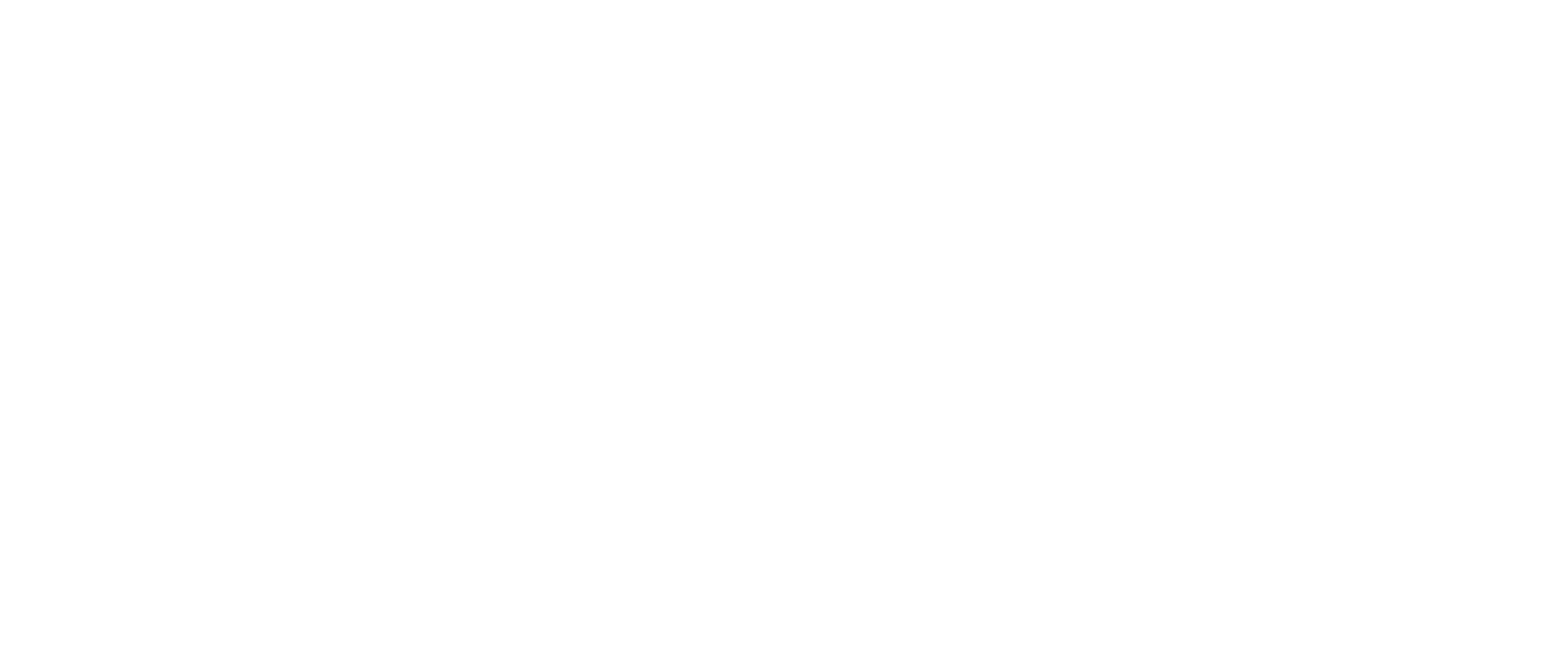 S+T+ARTS Prize