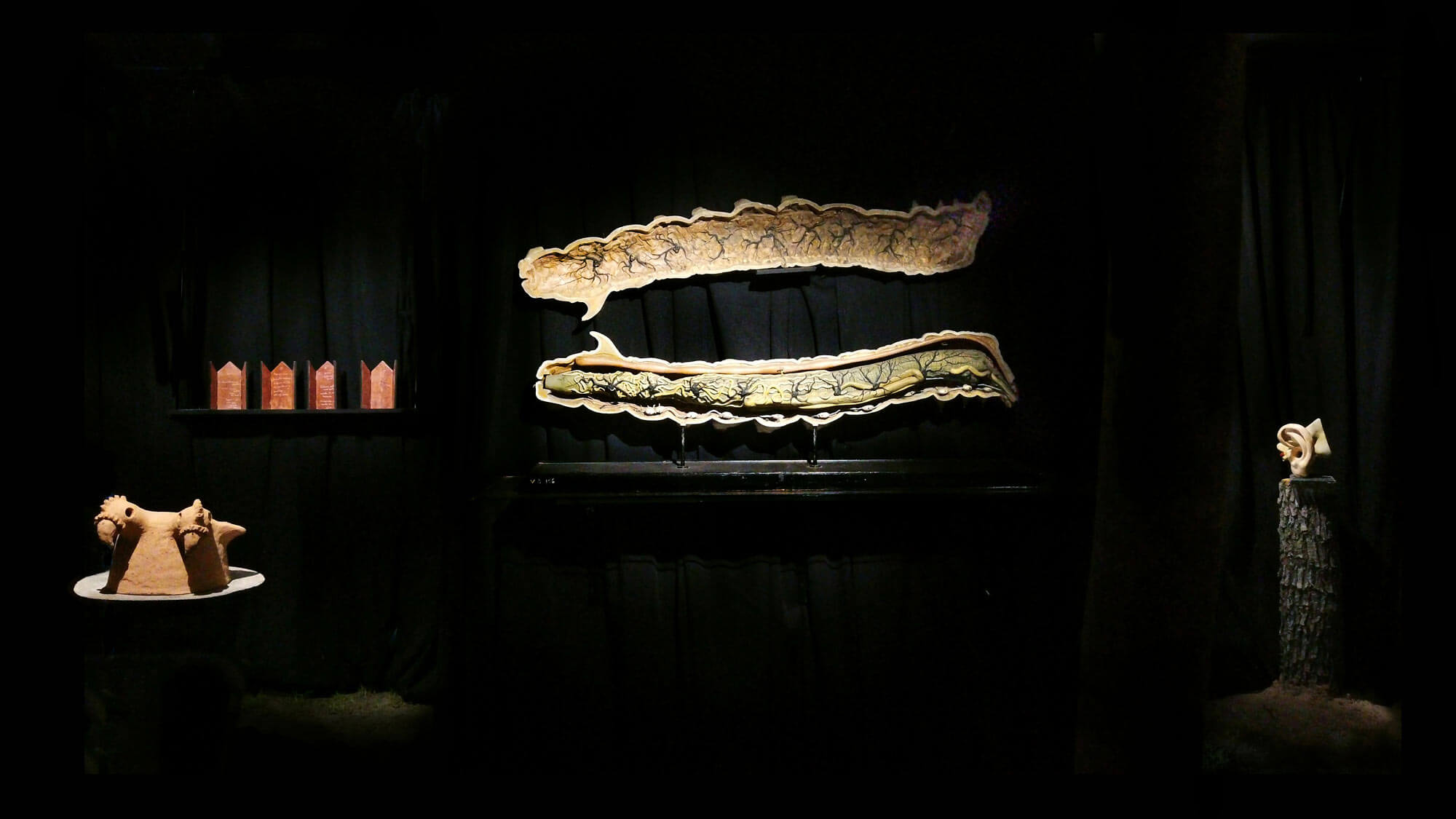 AE Gallery Image Slide